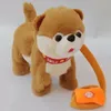 Robot Dog Interactive Dog Electronic Toys Plush Puppy Pet Walk Bark Leashing Teddy Toys For Children Birthday Gifts 240513