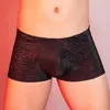 Underpants Mens 3D Shorts stampato Short a bassa vita Breta di bassa matura testurita Tagutta sexy Bulge Bulge Lingerie In biancheria biancheria intima da bagno clubwear