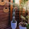 Vasen Kokosnusspalmenhänge Korbwand Anhänger Pflanzbügel Pflanzer Vase gewebt klassische Veranda
