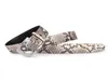 Belts Luxury Authentic Genuine Snakeskin Stainless Steel Silver Pin Buckle Men Belt Exotic Real True Python Leather Male Waists St5881775