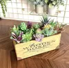 Flores decorativas 18 piezas mini mini floking sculificial succulenta plantas de loto