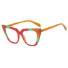 Sonnenbrille Ins Cat Eye Kombination Farbe Antiblau -Licht Brille Rahmen Mode Frauen Retro flacher Spiegel Personalisiertes Rezept