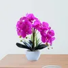 Fleurs décoratives youzi 14 têtes artificielles bonhonsaï papillon orchidée miniature plante en pot pour la salle de bureau de bureau de bureau à la maison