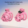 Ventilación CB Chastity Cage Conjunto con 4 anillos de polla y pisos suaves de doble extremo 3D Lock Penis Lock Toys Adult Sex Toys BDSM Trainer para hombres (anillo de arco largo, rosa)