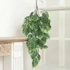 Dried Flowers Atificial Succulents Hanging Wall Plant Plastic Vine Rattan Green Long Branches Wedding Home Decoration Living Room Garland