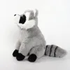 30cm Reallife Raccoon Peluş Oyuncak Güzel Sevimli Yumuşak Dolgulu Hayvanlar Hediyeler İçin Yastık 240426