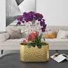Pflanzer Töpfe leichte Luxus -Eisenkunst kreative Schmetterlingsorchideen Blumenstopf Behälter Einfache Metallplatte Desktop Home Dekoration Q240429