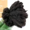 Afro Kinky Curly Locks Hair Microlocs Human Braiding Hair Bulk Hair For Braiding Double Drawn Box Crochet Braids 4C 240423