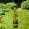 Dekoracje obelisk ogrodowy łuk kratowiskowy wsparcie rośliny ragrood rama do wspinaczki winorośli kwiaty stoi na zewnątrz kwiatowy dekoracje na zewnątrz