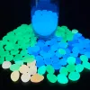 Dekorationer 25/50st Glödstenar för utomhus trädgårdsspår Patio Lawn Pebble Decoration Glow in Dark Home Decor Luminous Stones