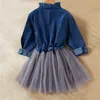 Girls 'Dress Autumn Long Sleeve Korean Version Pommel kjol Girls' Mesh Söta barns mjuka denimkjol