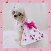 Psa odzieżowa sukienka letnia kota spódnica szczeniąt małych ubrań sukienki chihuahua Yorkshire terrier pomeranian shih tzu Costium odzież