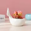 Piantatrici vasi di fiore di balena simpatico pentola succosa ceramica pianta decorazione casa desktop bonsai giardino q240429