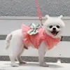 Hundkläder andningsbara nätklänningar söt sele koppel för små hundar kläder ropa perro chihuahua rosa grön kjol båge-knot valp klänning
