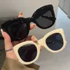 Zonnebrillen Oversized Butterfly Cat Oog Nieuwe Trendy Fashion Female Lady Shades Kleurrijk Populair merkontwerper Eyewear For Women H240429