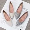 Scarpe casual Donne Flats Elegante Stile puntato con la signora Flat Tanne Slip su mocassini più piccole dimensioni #31-48 grigio
