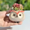 Cute Owl Ceramic Flower Pot Garden Escritório Decoração Suculenta Mini Owl Flowerpot Flower Animal Flowerpot Cactus Plants Plants 240424