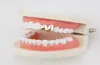 Hip Hop Smooth Double dents Grillz Real Gold Plated Fashion Rappers Dental Grills Cool Music Body Body Golden Silver Rose Gold 4107946