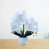 Fleurs décoratives youzi 14 têtes artificielles bonhonsaï papillon orchidée miniature plante en pot pour la salle de bureau de bureau de bureau à la maison