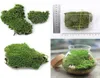 Decorazione per feste domestiche artificiali erba verde mole ornamento in miniatura piante artificiali C190413028293143