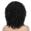 Ace Xuchang Female Head Kinky Curly Set Chemical Cover Fibre Wig