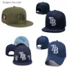 Rayses- TB Briefmarke Luxusdesigner HipHop Tanz Baseball Caps Top-Qualität Die meisten Pop-Mode-Schnappschützen für Männer Frauen Knochenmütze Snap Back Casquette