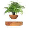 Plantadores POTS HOME PRODUTO DOS PLUSTOS DE POTENCIDO DE BONSAI PLANTAS PLANTS MAGNÉTICAS Decoração de Flores Magnética de Suspensão Magnética Q240429