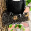 Pflanzer Töpfe toukanische Vogelform, die Dekoration umarmt, hängende Harz dekorative Gartenstatue kreative Simulation von Tierhof Wand Q240429