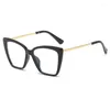 Solglasögon ramar kvinnors mode blå ljusglasögon 2024 kattögon designer damer flexibla optiska glasögon ram uv400