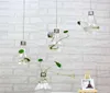 Suspende lamp lamp vaas vlezige plantenglas vaas Europese stijl water cultuur fles antieke decoratie bruiloft decoratie7713392