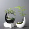 Plantadores pots rinocerontes chifre em forma de cerâmica vaso verde planta verde cacto suculento bonsai decoração caseira q240429