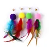 9 pack de remplacement de plumes coloré tête drôle de chat drôle de pêche à plumes Tassel Rod de chat de chat ensemble toys chat interactif 240429