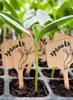 50st Type Bambu växtetiketter Emofriendly Tood Sign Taggar Garden Markers For Seed Potted Herbs Flowers Tools Dekorationer4066088