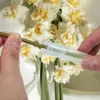 Decorative Flowers 100Pcs Flower Tubes Plastic Reusable Test Water Containers With Silicone Cap For Plants