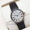 Unisex Dials Automatic Working Watches Carter New Ronde Series 29mm Quartz Womens Watch WSRN0019