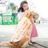 ソフトペットの大型犬小格子肉Tシャツ犬の服かわいいシャツ夏の通気性ビーチセルフクーリングベストビッグゴールデンレトリバー犬240429