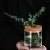 Vasos Moda Cilíndrica Vaso de vidro verde cilíndrico Modern Hydroponic Flower Dissers para a sala de estar de estudo