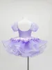 Stage Wear Kindergarten Costume Brify Skirt Performance for Girls Purple Paughe Gauze Princess