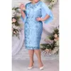 大きなサイズのレディースソリッドカラーレース刺繍シフォンステッチエレガントなシースドレス