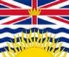 Канадский флаг британского 3ft x 5ft Polyester Banner Flying 150* 90 см. Флаг на заказ Outdoor4068235