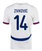 Serbia Soccer Jersey 2024 Euro Cup National Squall