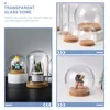 Dekorative Blüten 5 Stcs Plastikpflanzen transparente Glas Domstaubdichte Abdeckung Blüten Beschützer Ornament Halter Kind erhalten Rosen