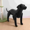Model odzieży dla odzieży dla psa nadmuchiwany do dekoracji dekorator sklepu manekina PVC modele zwierzę