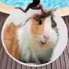 Leuke cavia ronde strand handdoeken olyester zandbestendige sjaal stranddekensoft absorberende snelle droge zwembad handdoek picknickmat 240422