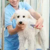 Dog Apparel Grooming Brush Slicker Pet Shampoo Bath Deshedding Cleaning Supply Safety Comb