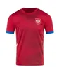 Serbia Soccer Jersey 2024 Euro Cup National Squall