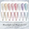 Silver Moonlight Cat Magnetic Gel Nail Polish White Light Sparkling Glitter Semi Permanent Varnish 10m 240425