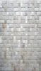 Fonds d'écran Natural Mother of Pearl Mosaic Tile for Home Decoration Backselash and Room Wall 1 METERLOT SQUART AL1045345781