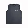 Europa och USA: s nischmodemärke Purple Vest BPUR074 Paint Disk Print Vest Vest R84W80 Herr- och kvinnors Pure Cotton Sports Fitness Sleeveless T-shirt