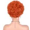 Pelucas cortas rizadas para mujeres negras cabello humano brasileño virgen pixie cortada peluca humana cabello afro rizado ninguno encaje delantero